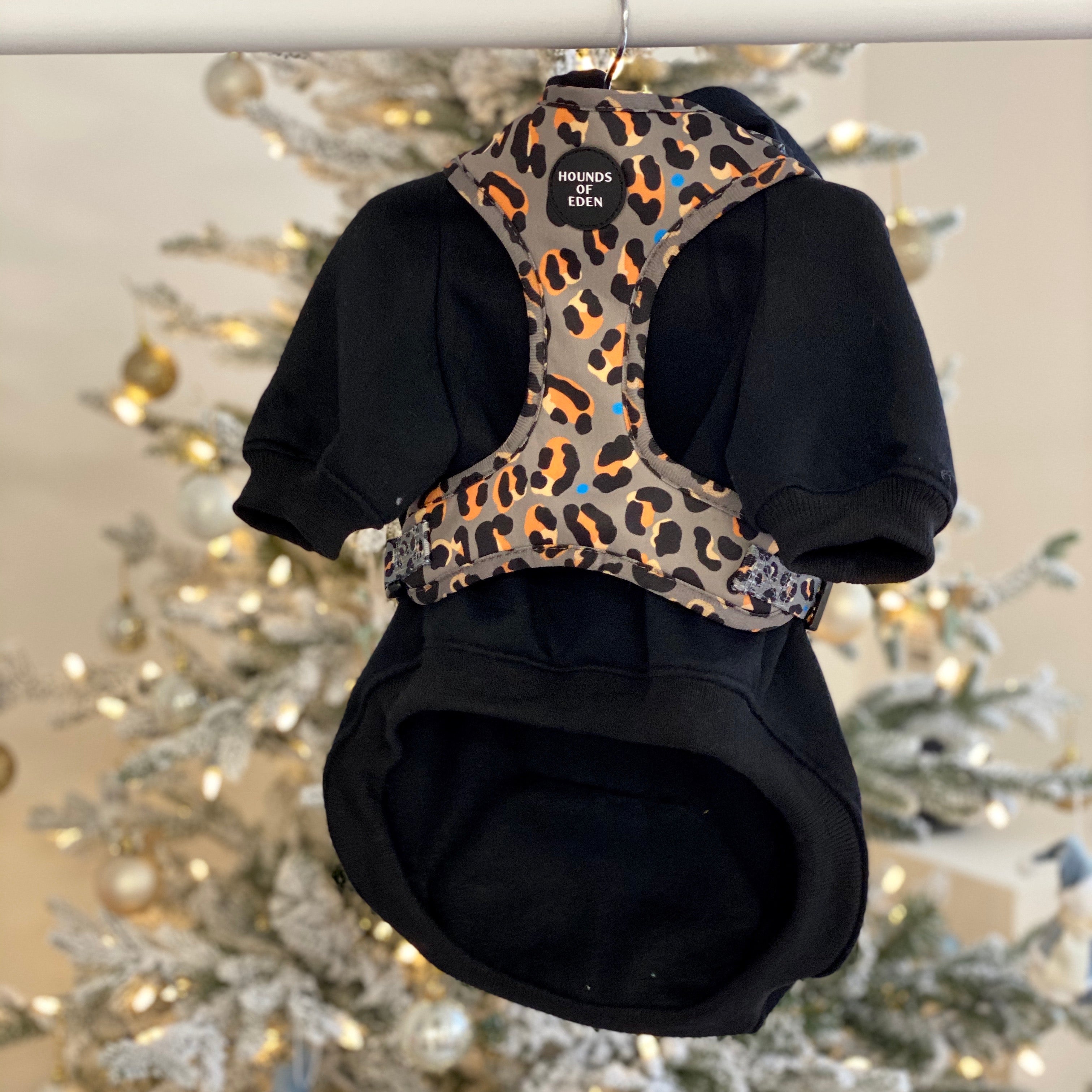 Dog Hoodie - Black