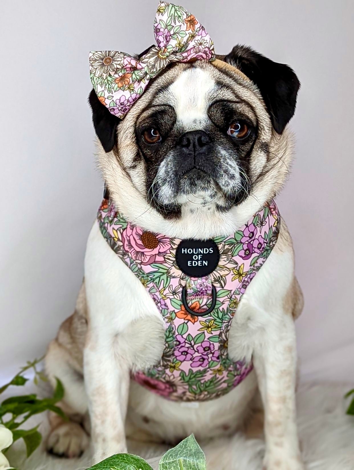 Wild Blossom - Design Dog Lead
