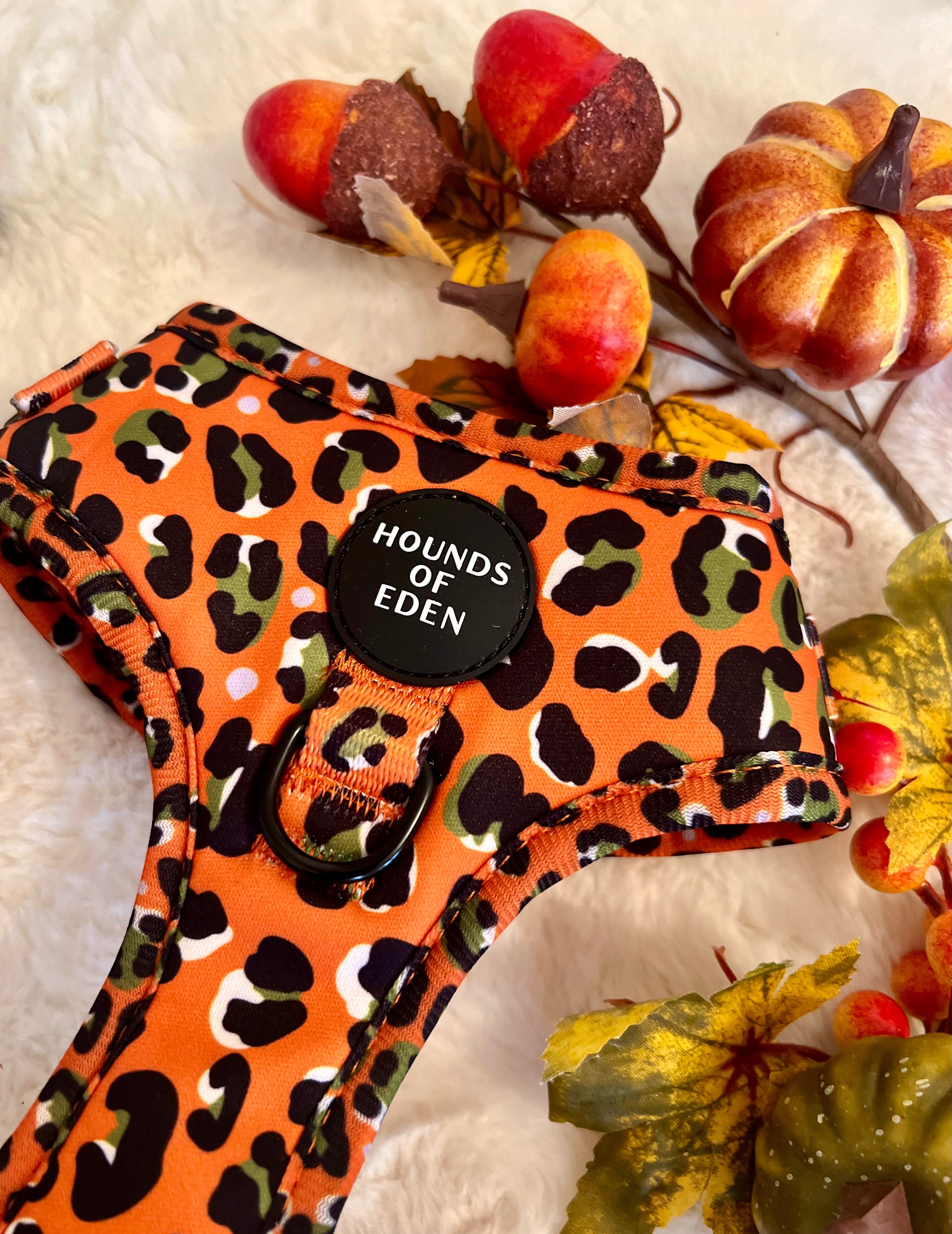 Burnt Orange Leopard Design Dog Harness