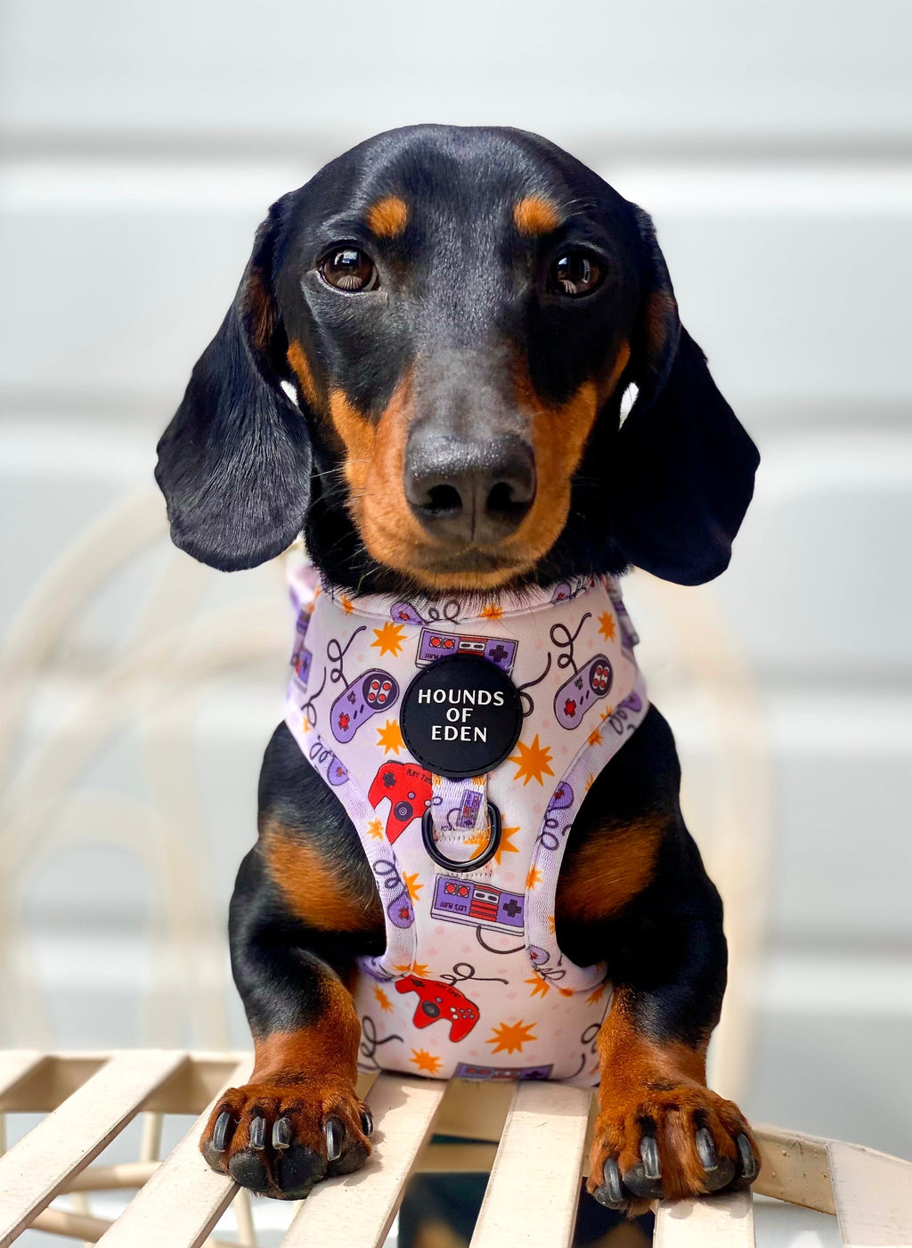 Nintendawg Design Dog Collar
