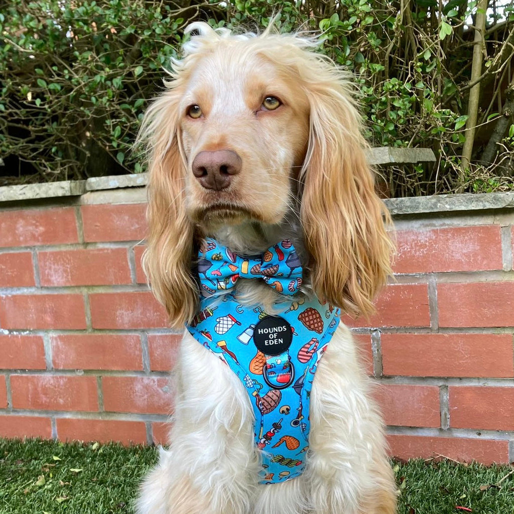Grill 'n' Chill - Dog Bow Tie
