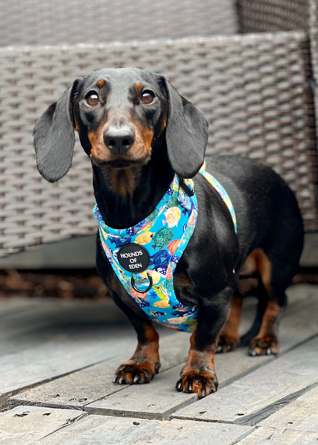 Under The Sea Design Poop Bag Holder