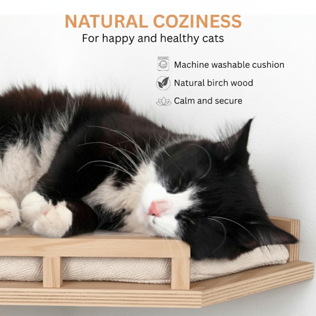 INICIO Cat Wall Shelves – Modern 3-Step Wall Furniture for Cats up to 15lbs