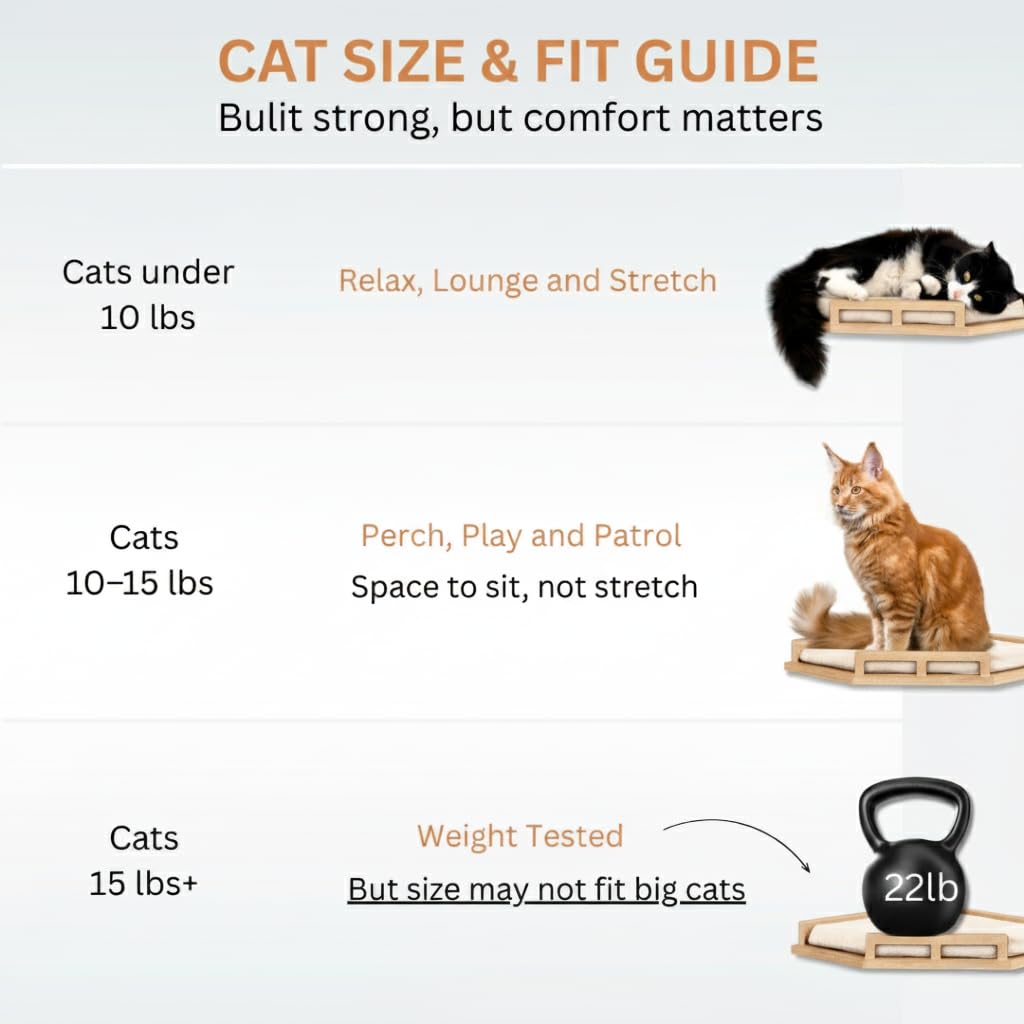 INICIO Cat Wall Shelves – Modern 3-Step Wall Furniture for Cats up to 15lbs