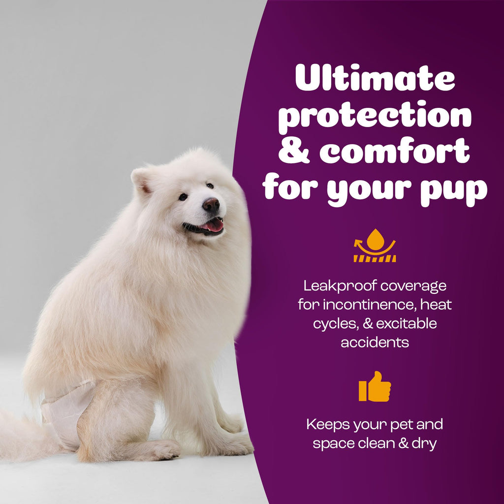 Inspire Pet Care Dog Diapers for Female Dogs – Bulk 60 Count | Leak-Proof Incontinence and Heat Protection