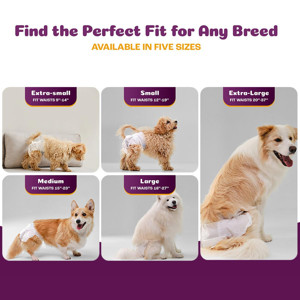 Inspire Pet Care Dog Diapers for Female Dogs – Bulk 60 Count | Leak-Proof Incontinence and Heat Protection
