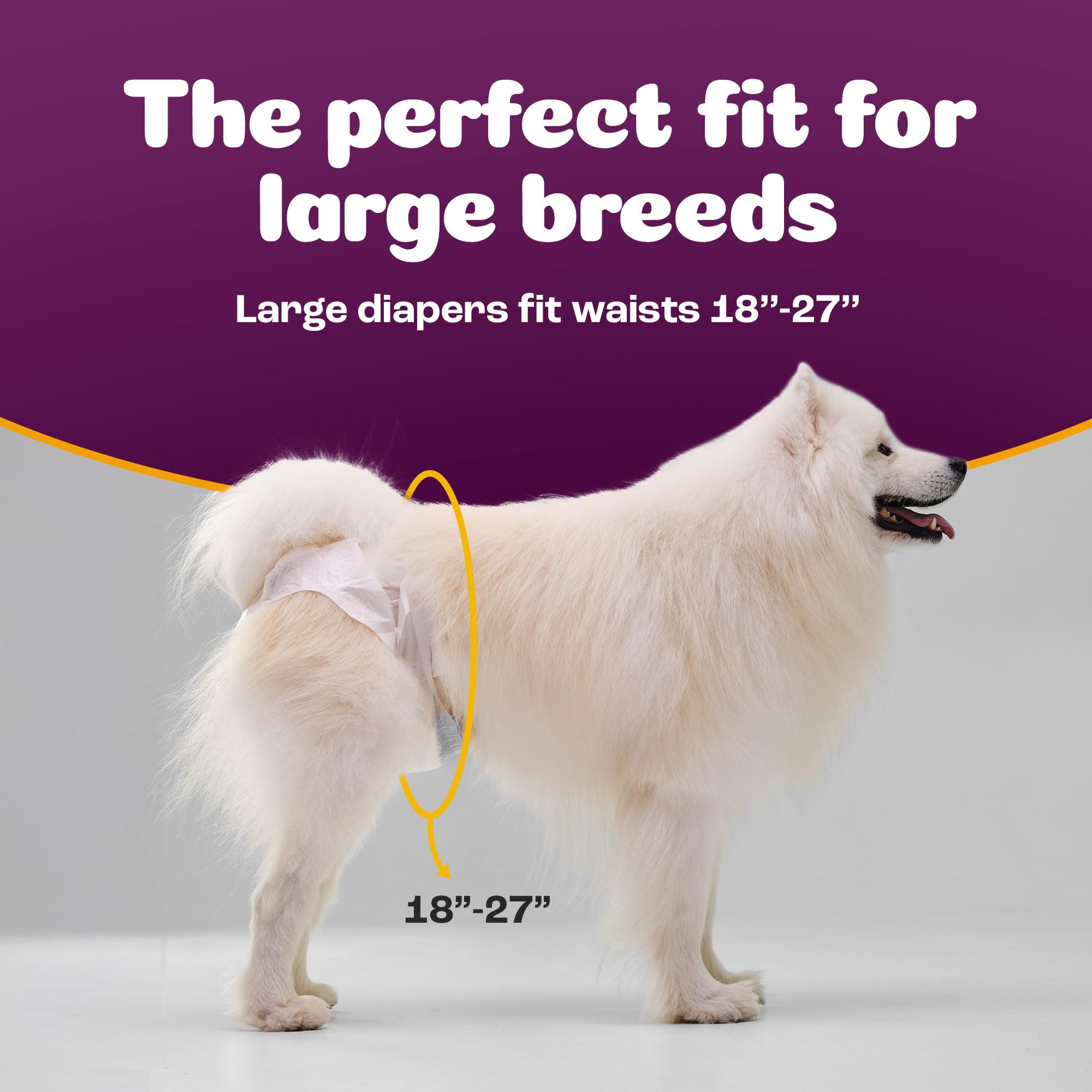 Inspire Pet Care Dog Diapers for Female Dogs – Bulk 60 Count | Leak-Proof Incontinence and Heat Protection
