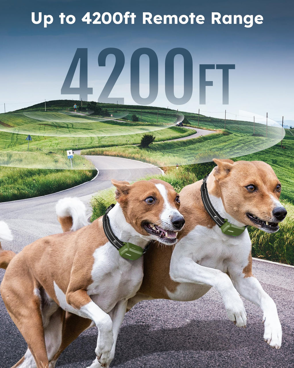 Jugbow Dog Shock Collar for 2 Dogs (10–120 lbs) – 4200ft Range, IPX7 Waterproof