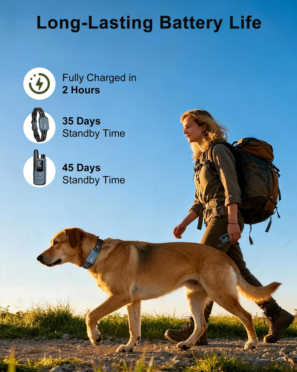 Jugbow Dog Shock Collar with Remote – 4200ft Range, IPX8 Waterproof, 4 Training Modes, 2-Dog Support