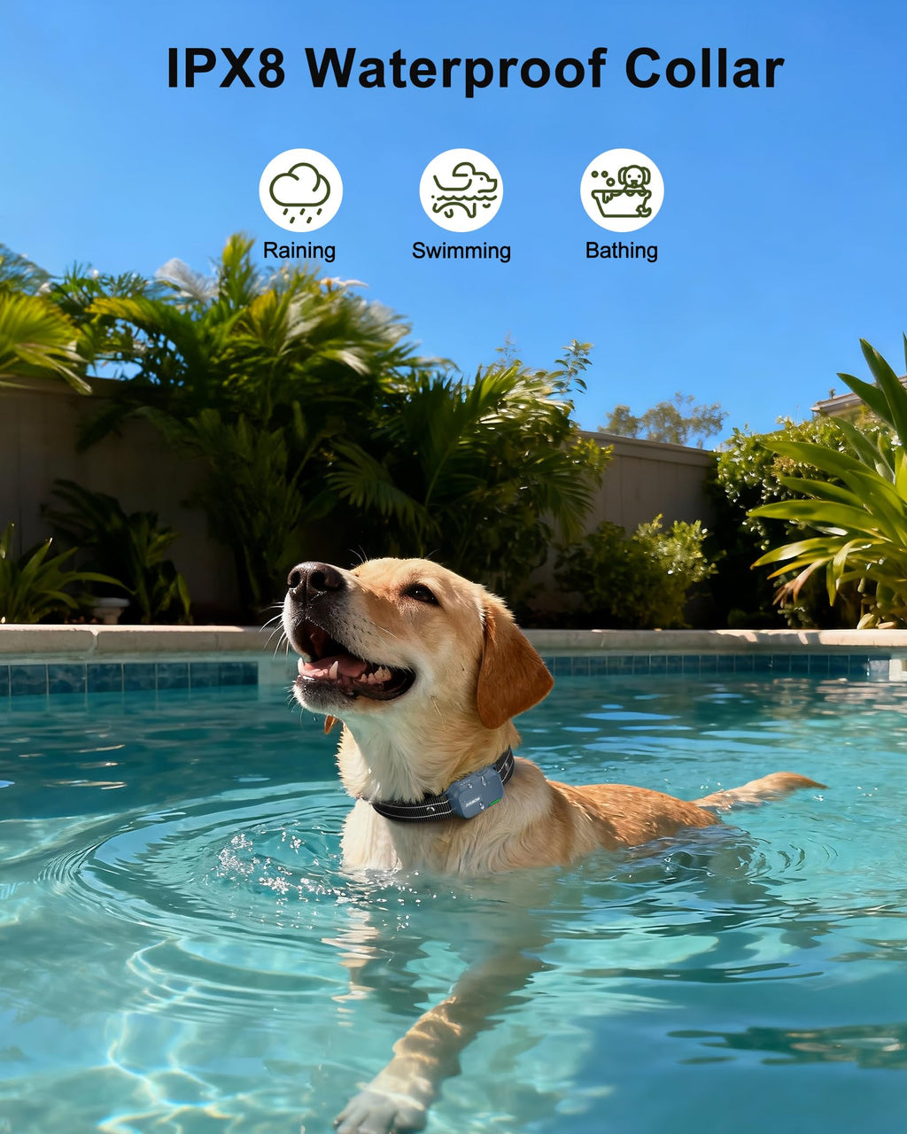 Jugbow Dog Shock Collar with Remote – 4200ft Range, IPX8 Waterproof, 4 Training Modes, 2-Dog Support
