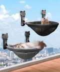 JUNSPOW 2 Pack Cat Window Perch – Foldable Sunken Design, Stable Suction, 40 lb Capacity
