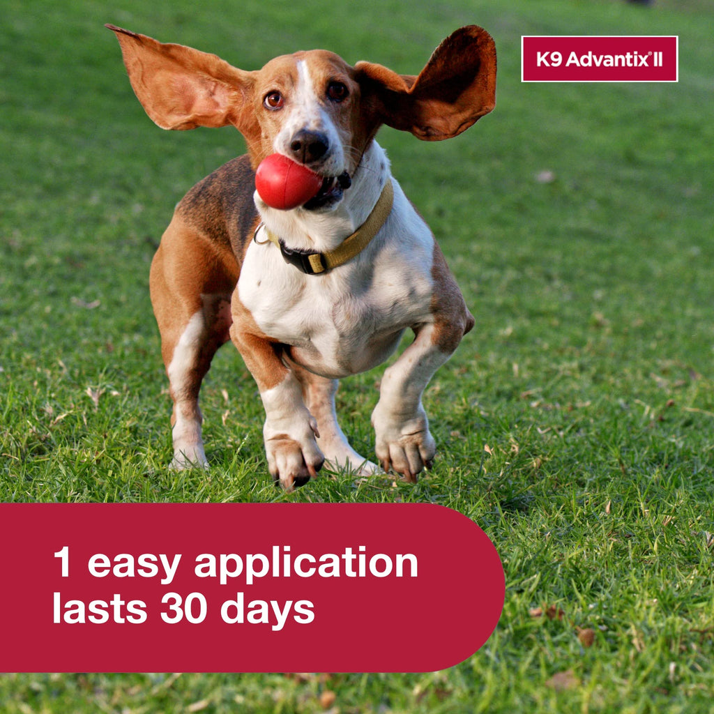 K9 Advantix II Medium Dog | Vet-Recommended Flea, Tick & Mosquito Prevention 11-20 lbs | 4-Mo Supply