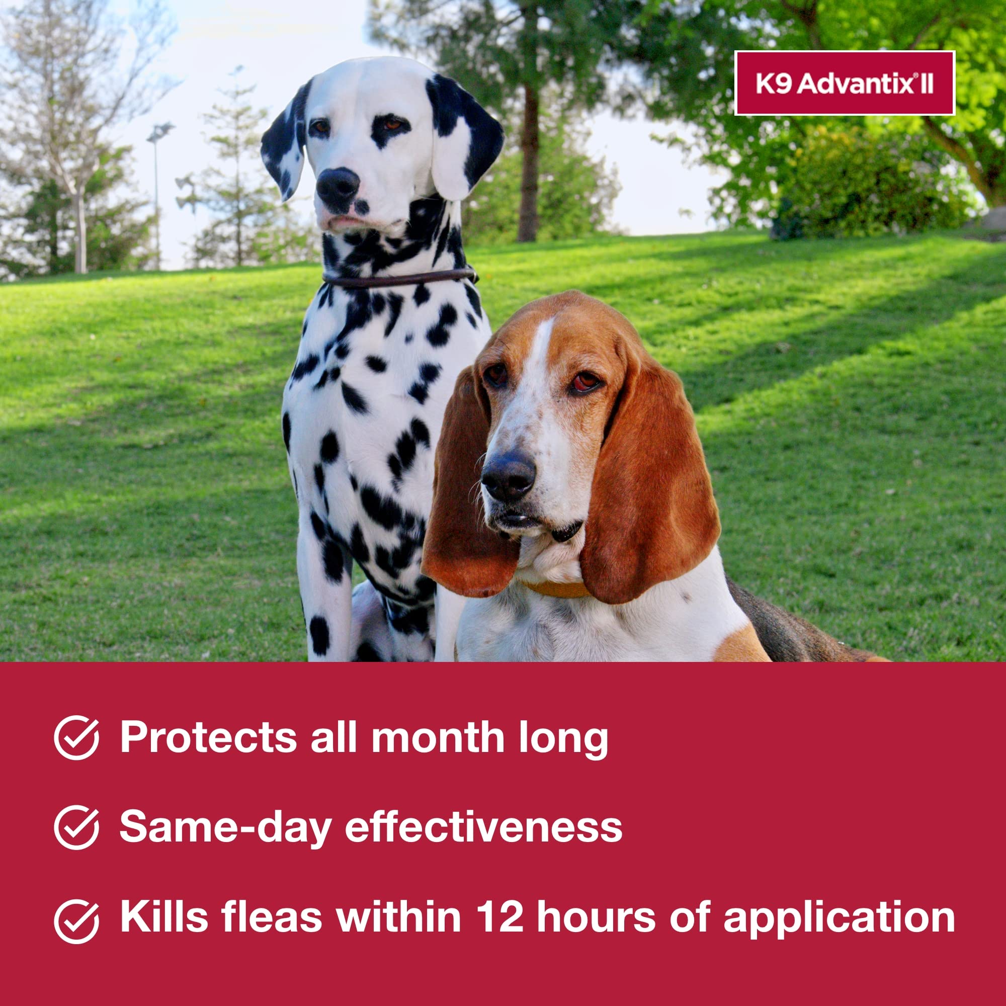 K9 Advantix II Medium Dog | Vet-Recommended Flea, Tick & Mosquito Prevention 11-20 lbs | 4-Mo Supply