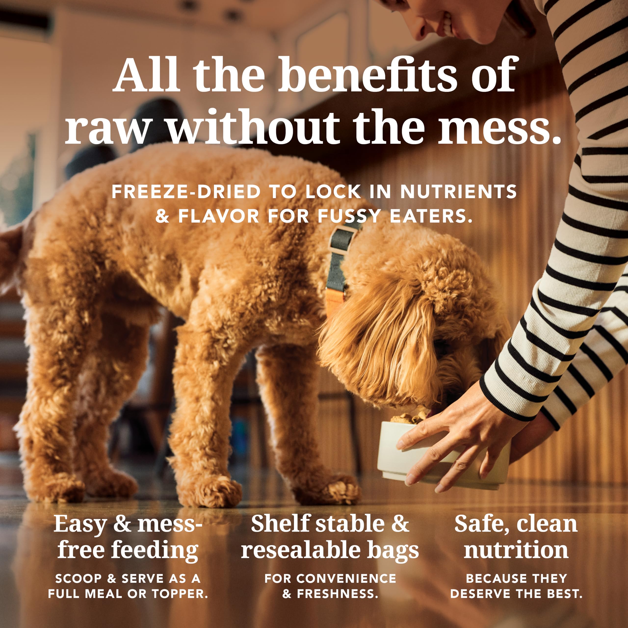 K9 Natural Freeze Dried Beef Dog Food 4lb – Natural, Grain-Free Topper