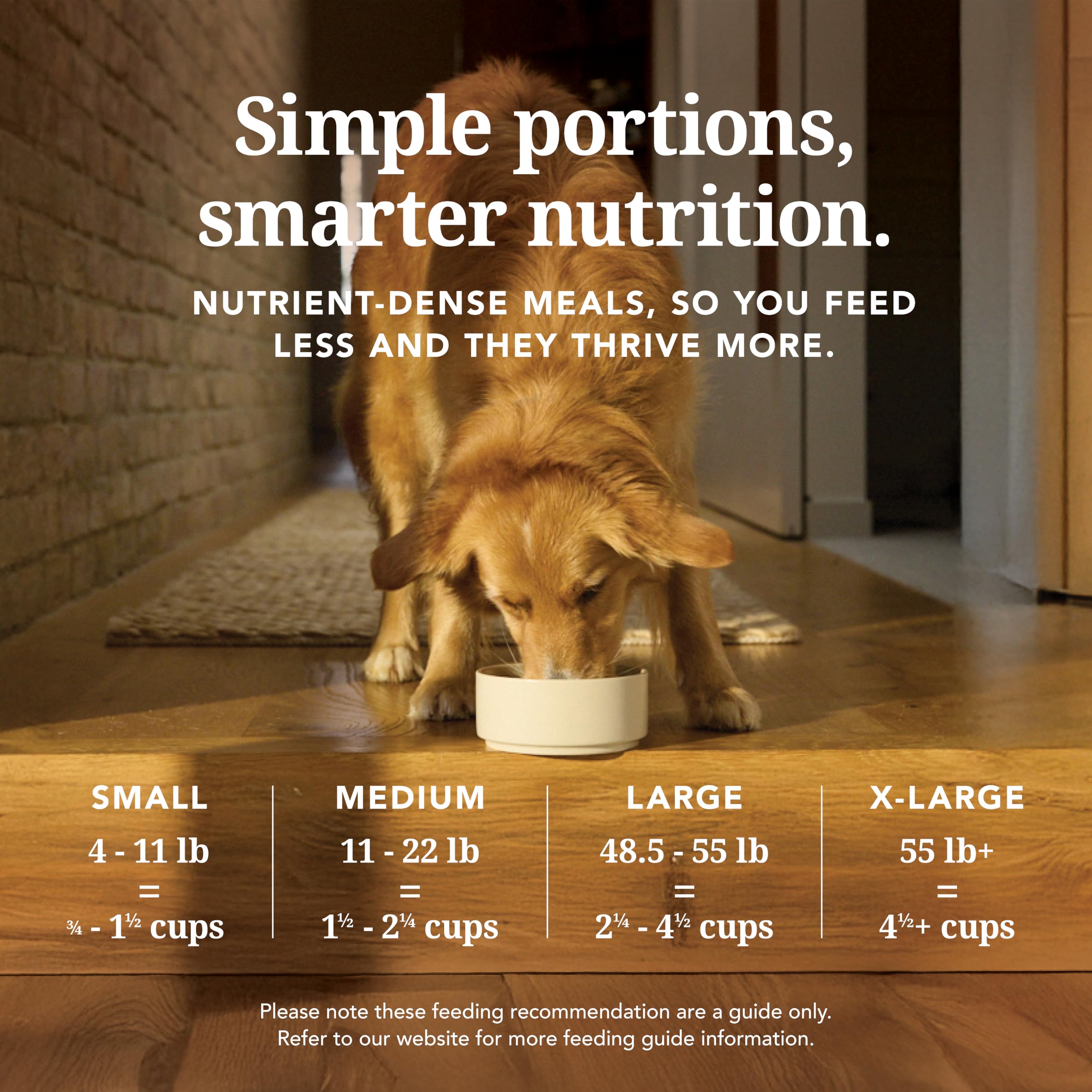 K9 Natural Freeze Dried Beef Dog Food 4lb – Natural, Grain-Free Topper