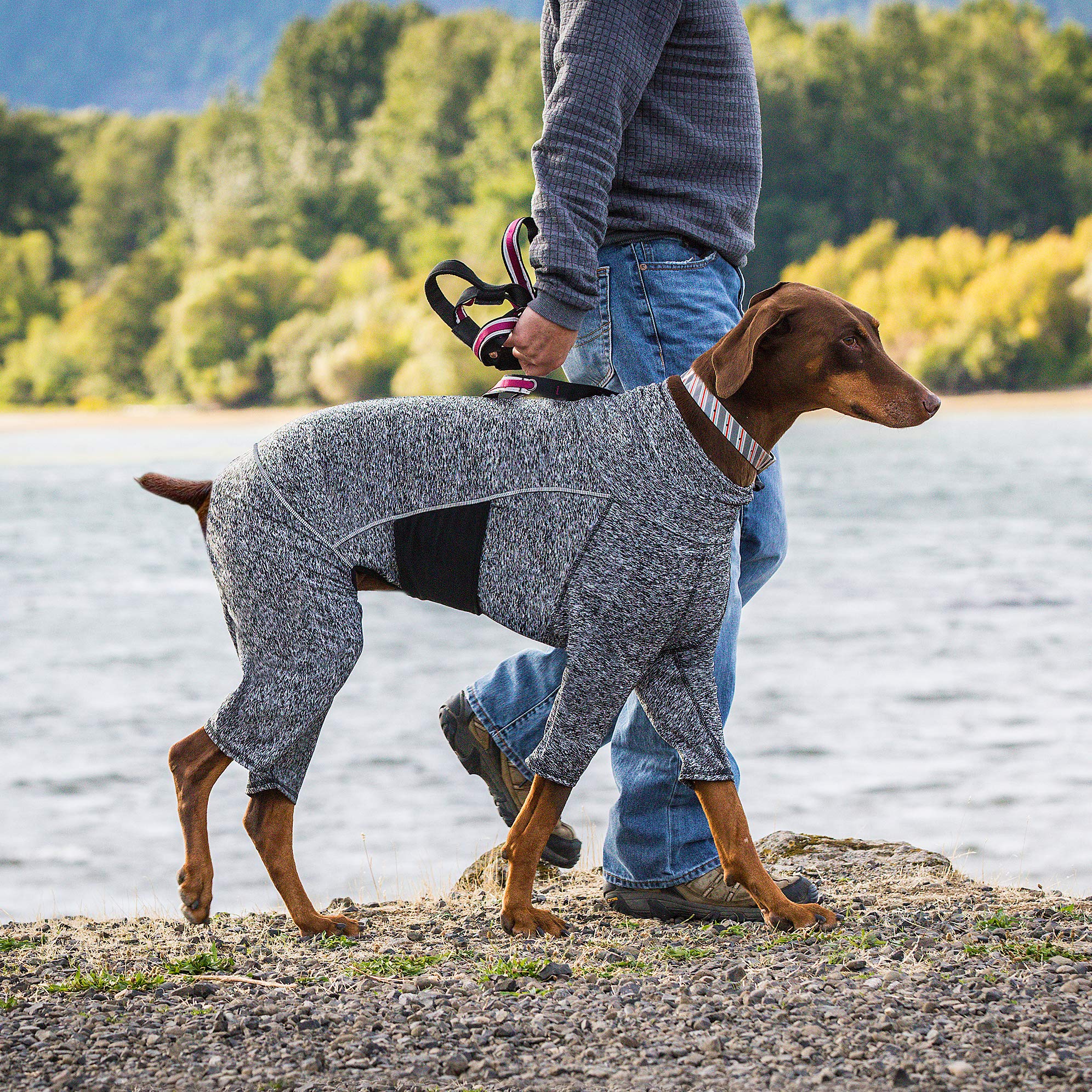 Kurgo Stowe Base Layer (Medium) – Comfortable Cold-Weather Dog Bodysuit, Dual Zippers