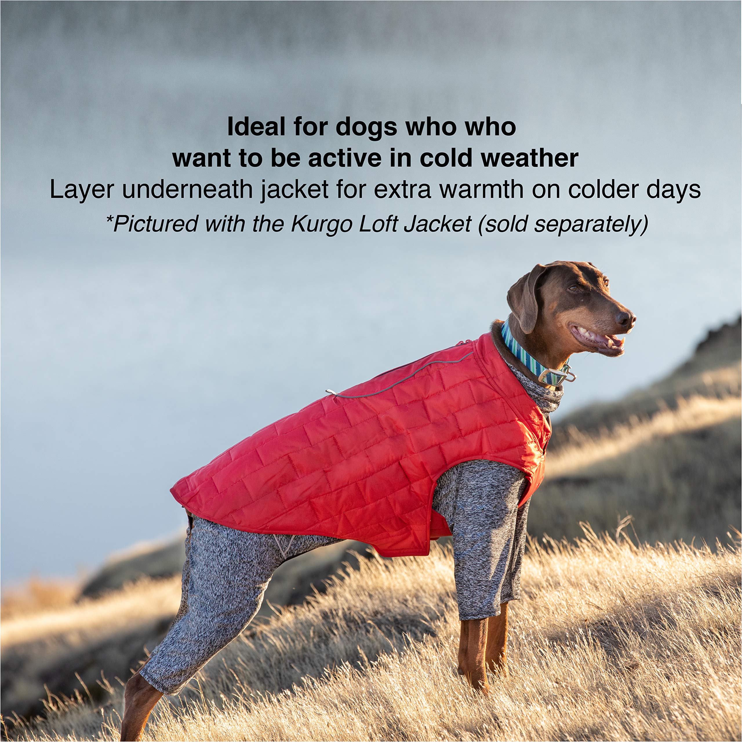 Kurgo Stowe Base Layer (Medium) – Comfortable Cold-Weather Dog Bodysuit, Dual Zippers