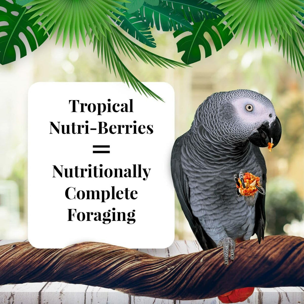 LAFEBER'S Tropical Fruit Nutri-Berries Parrot Food – Non-GMO, Human-Grade, 3 lb