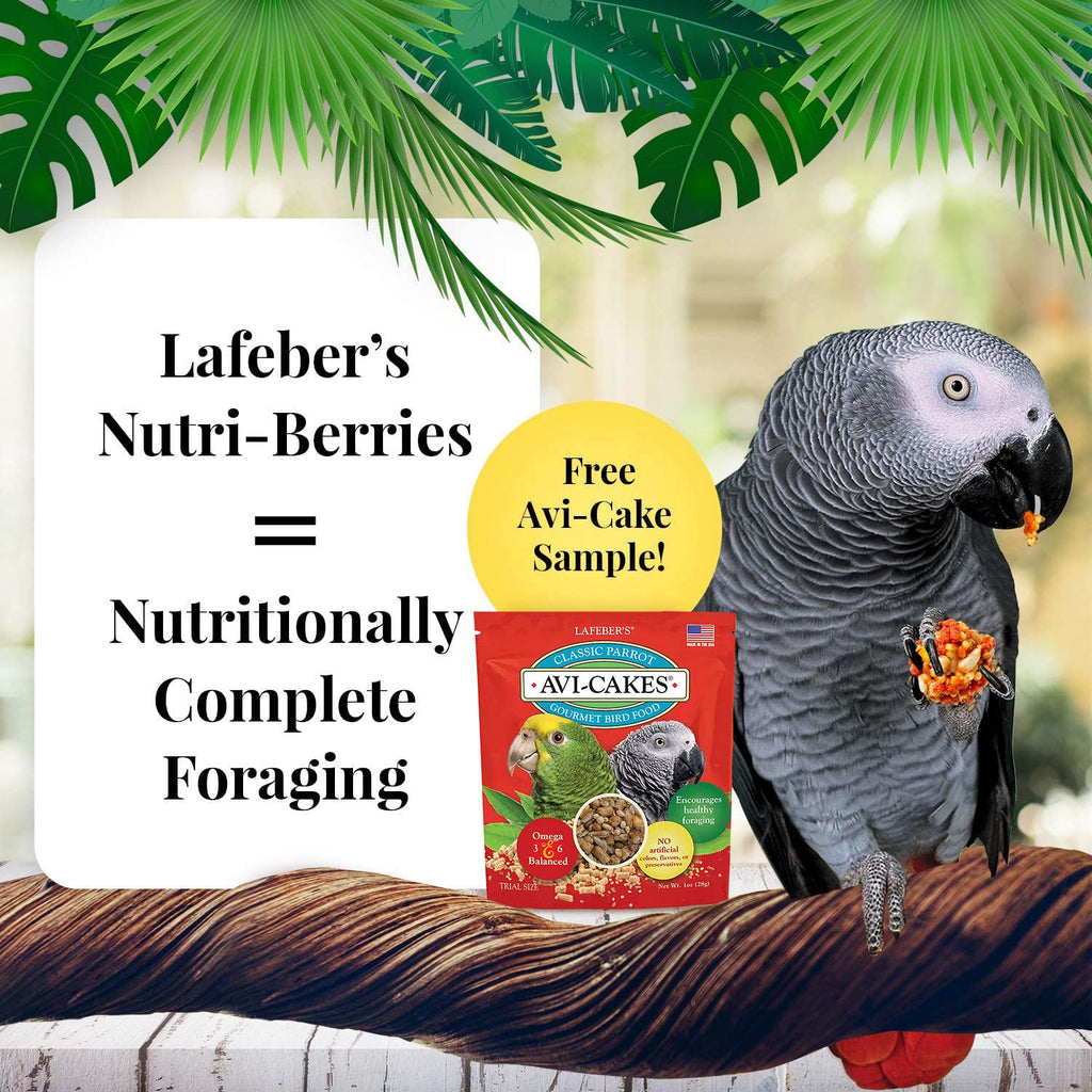 LAFEBER'S Nutri-Berries Bird Food Variety Sampler Bundle – 4x10oz, Non-GMO
