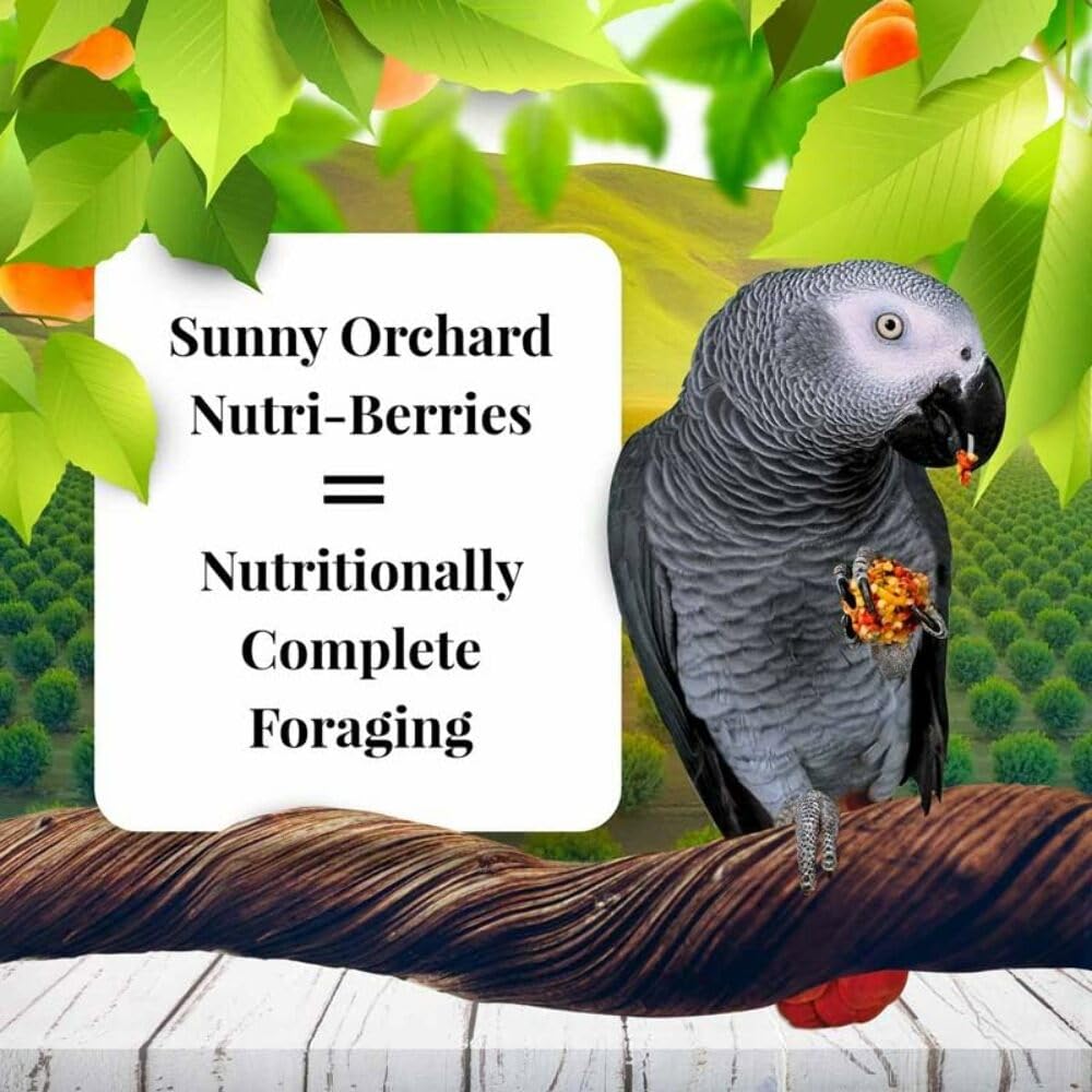 LAFEBER'S Sunny Orchard Nutri-Berries Parrot Food – 3 lb, Non-GMO, Human-Grade