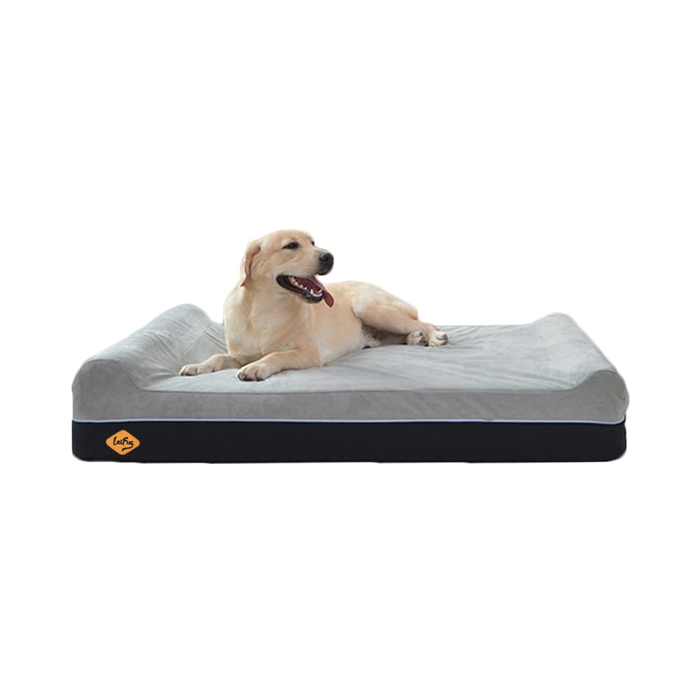 Laifug Orthopedic Memory Foam Extra Large Dog Bed 50x36 – Waterproof Liner & Removable Cover