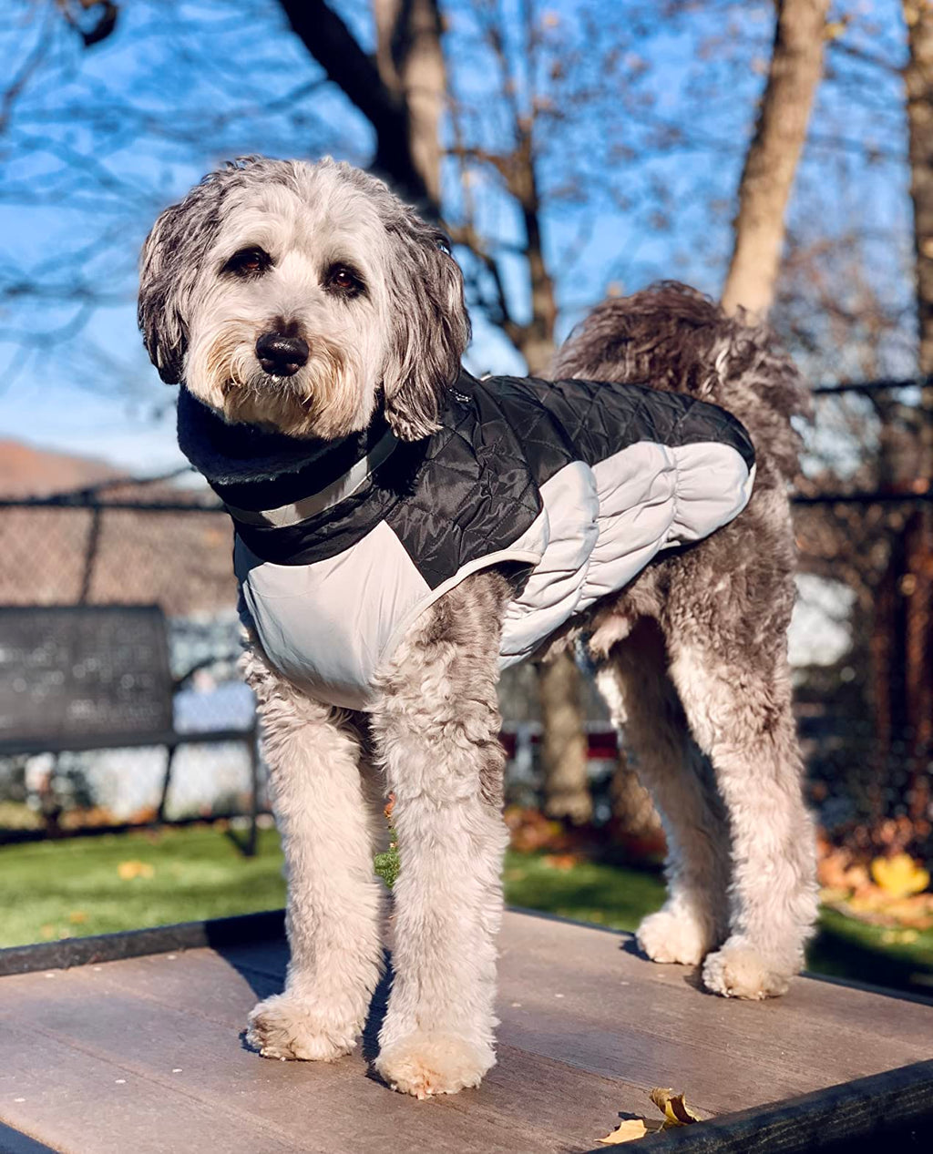 LeLePet Waterproof Winter Dog Coat with Built-In Harness — Reflective, Turtleneck, 3XL