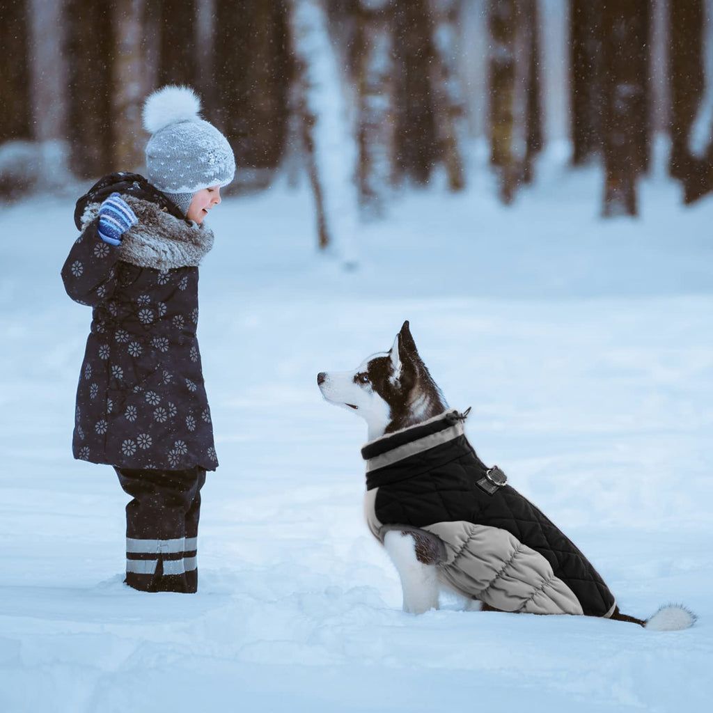 LeLePet Waterproof Winter Dog Coat with Built-In Harness — Reflective, Turtleneck, 3XL