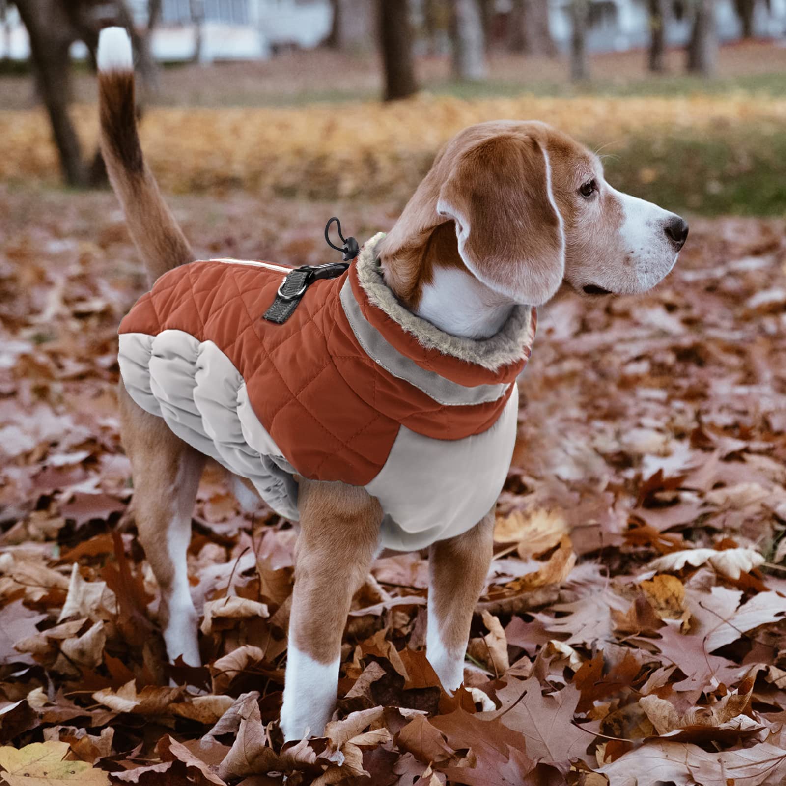 LeLePet Warm Waterproof Dog Coat with Harness – Large Dogs Winter Jacket, Reflective Turtleneck