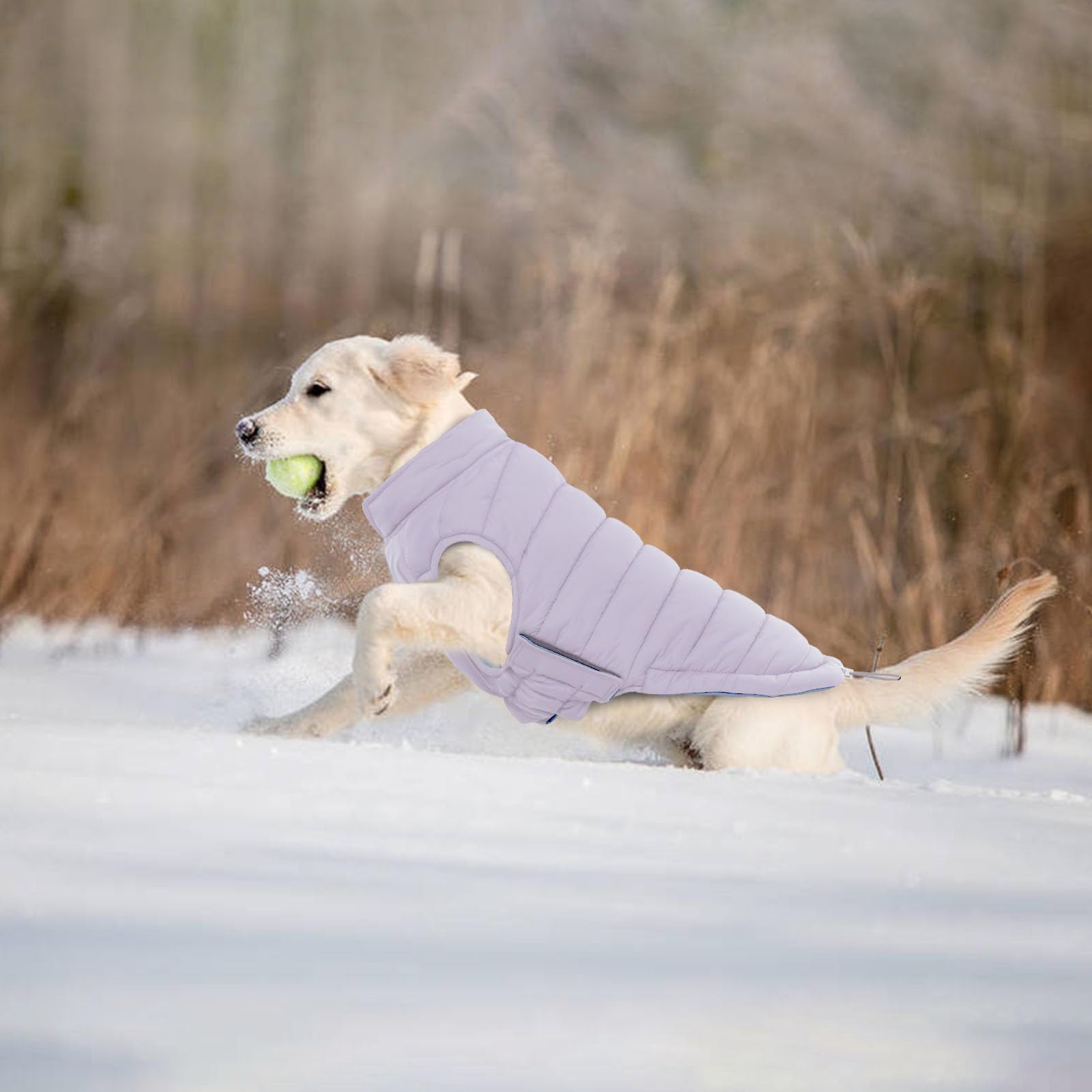 Lelepet Reversible Waterproof Dog Coat - Windproof Puffer Vest for Large Dogs (XL, Purple)