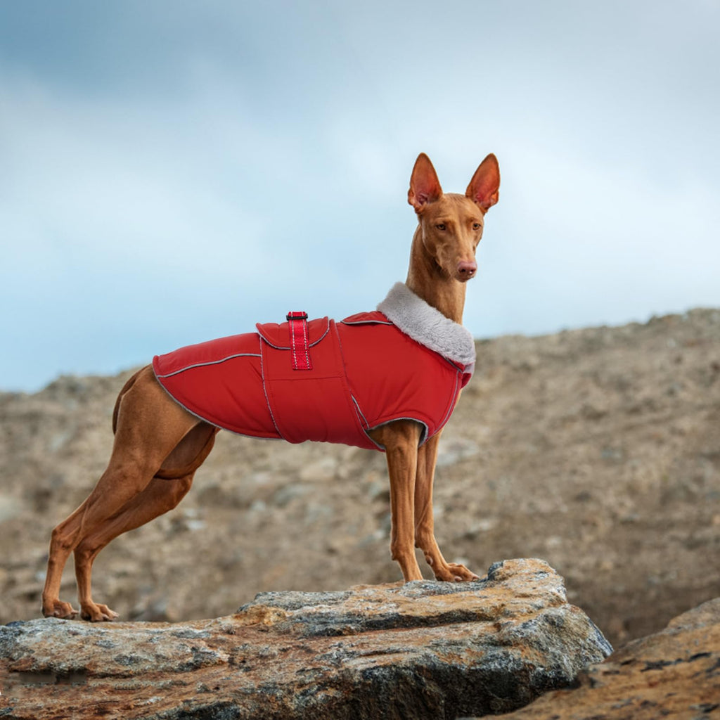 LeLePet Warm Waterproof Dog Coat – Reflective Fleece Winter Jacket (Red, XXXL)