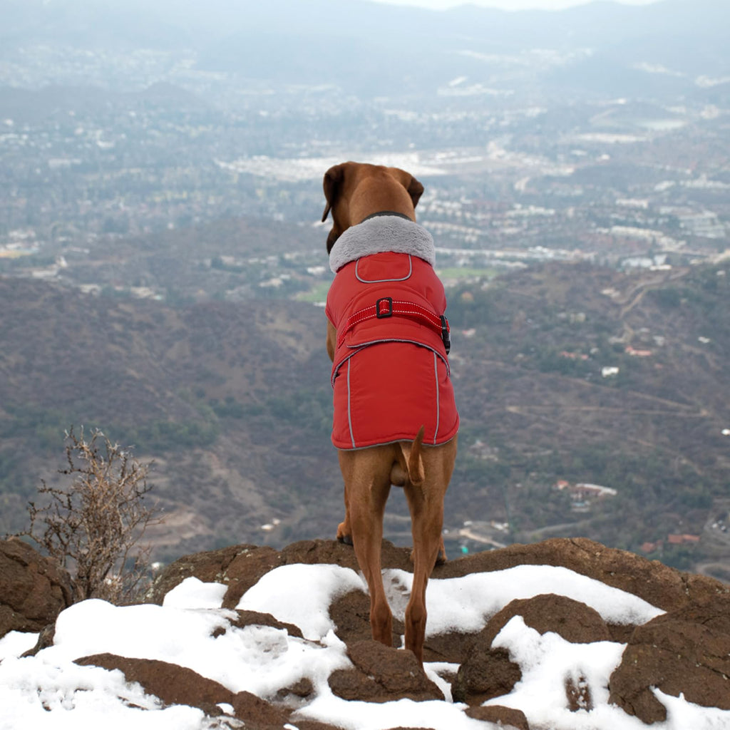 LeLePet Warm Waterproof Dog Coat – Reflective Fleece Winter Jacket (Red, XXXL)