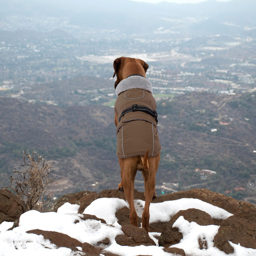 LeLePet Warm Dog Coat for Large Dogs – Waterproof, Windproof Fleece Vest XL