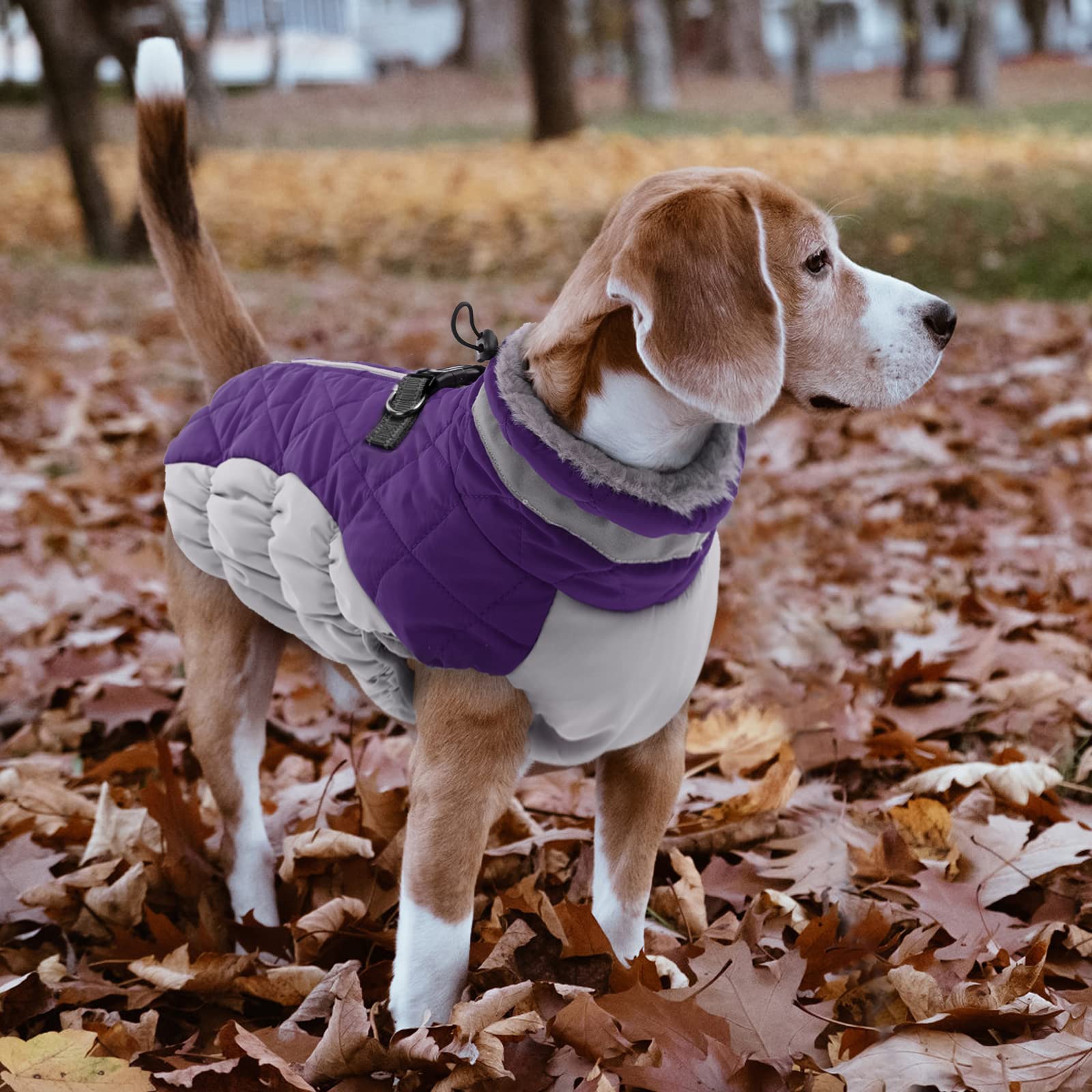 LeLePet Waterproof Winter Coat with Harness – Warm Reflective Fleece Vest (Large)