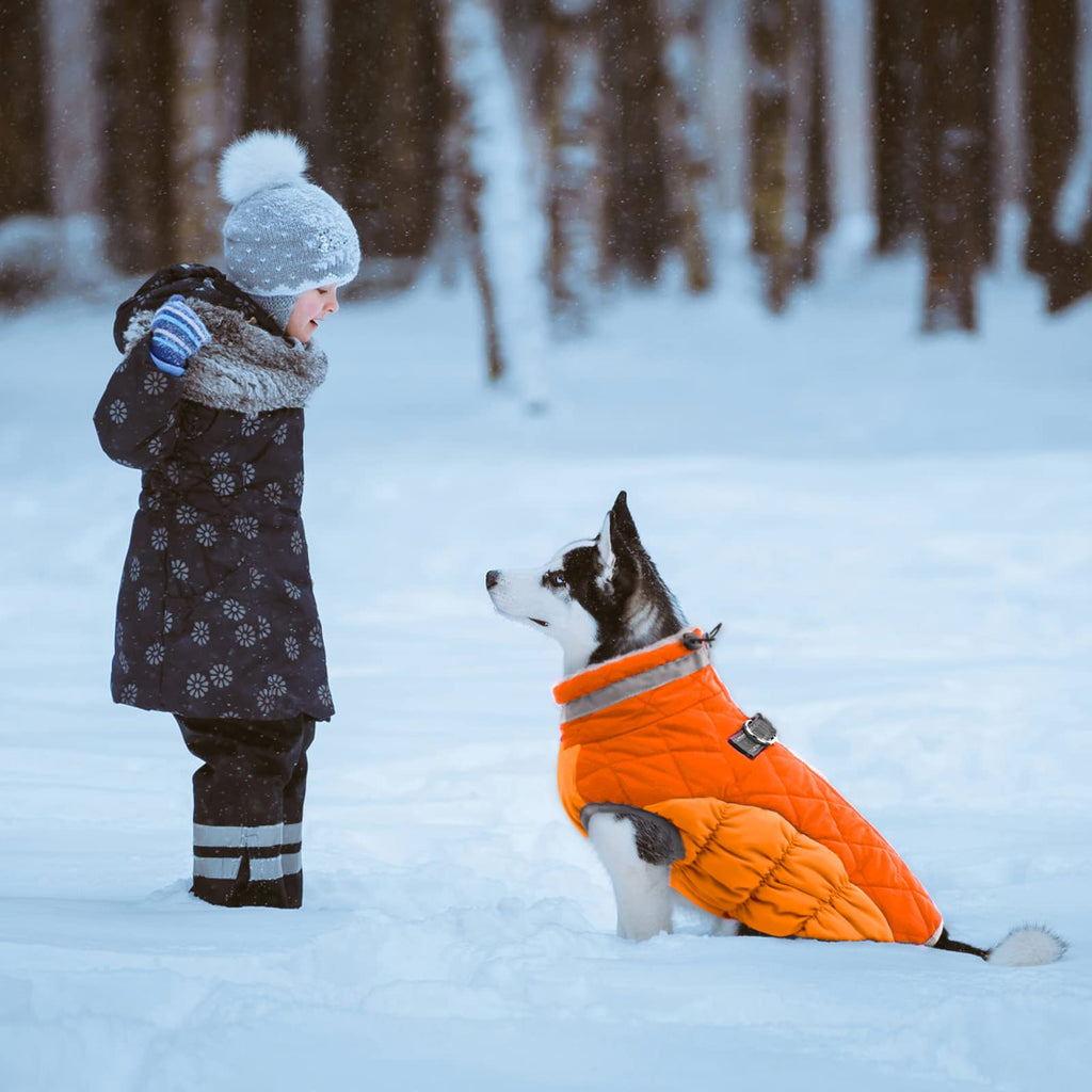 Lelepet Winter Dog Coat with Harness – Warm, Waterproof Fleece Vest for Large Dogs (XL, Blaze Orange)
