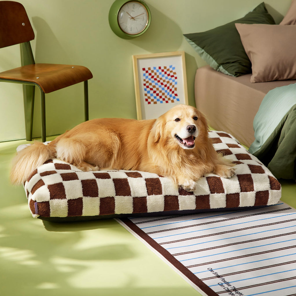 LE SURE Extra Large Dog Bed - Thick Shredded Foam, Removable Cover, Anti-Slip