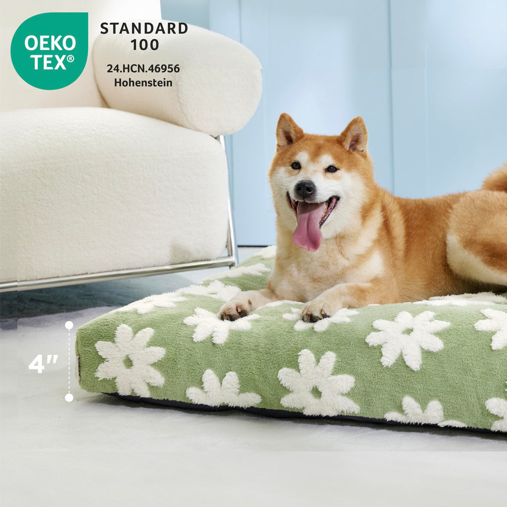 LE SURE XLarge Dog Bed - Thick Shredded Foam, Removable Cover, Green