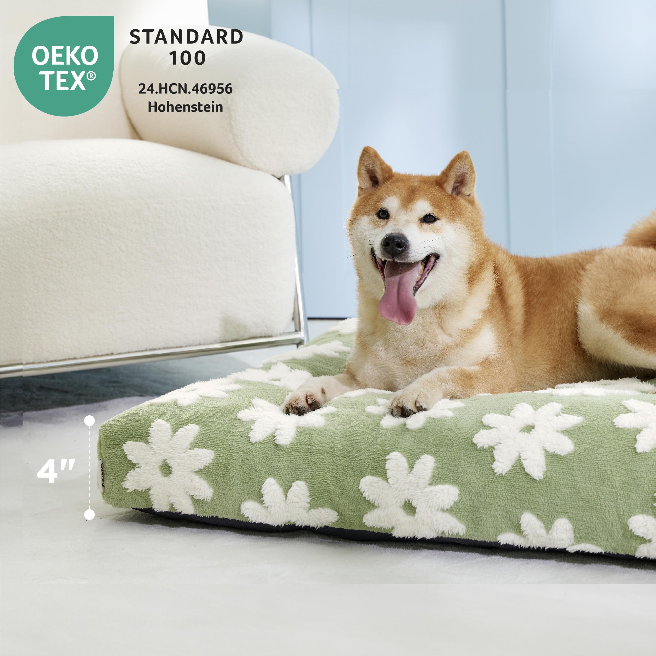LE SURE XLarge Dog Bed - Thick Shredded Foam, Removable Cover, Green