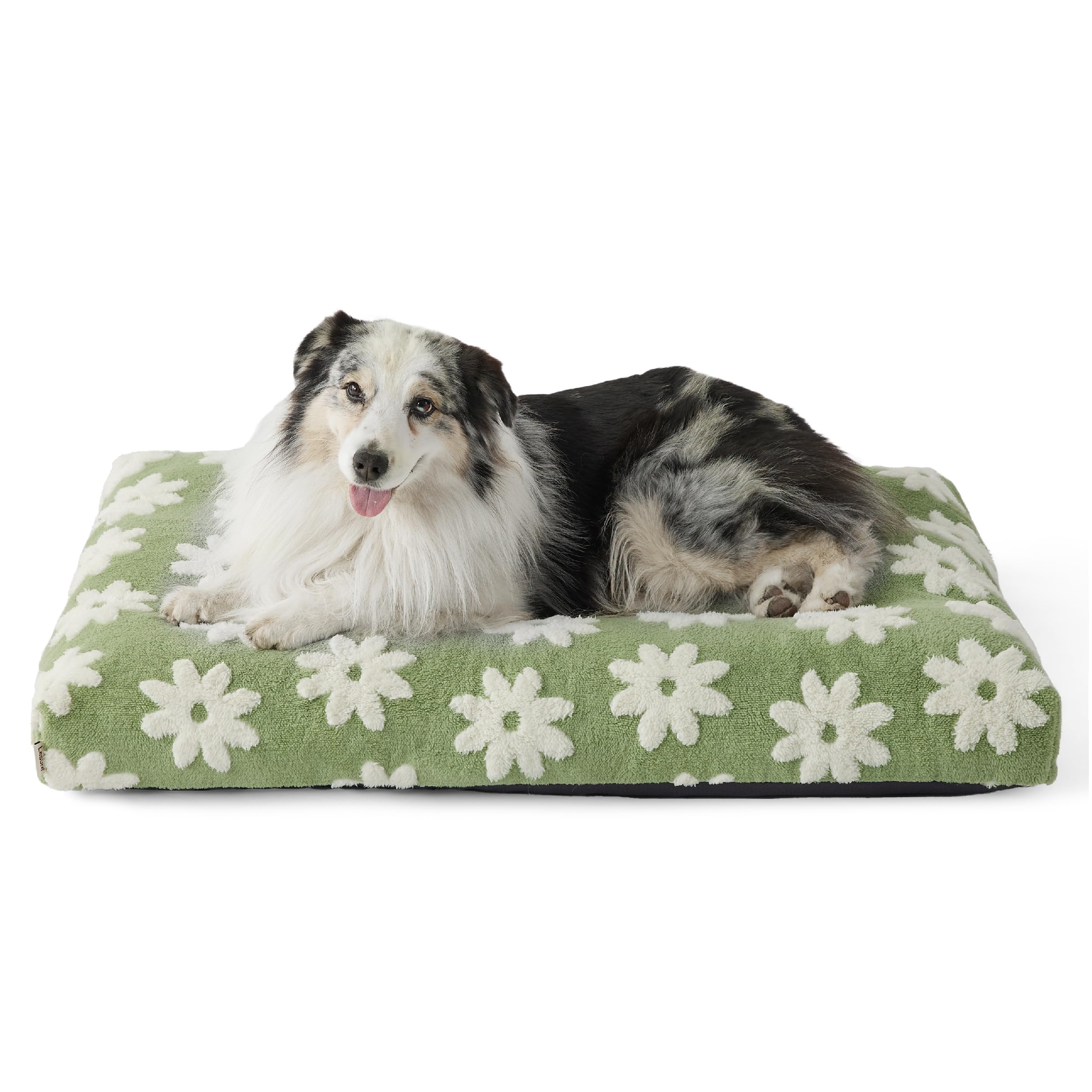 LE SURE XLarge Dog Bed - Thick Shredded Foam, Removable Cover, Green
