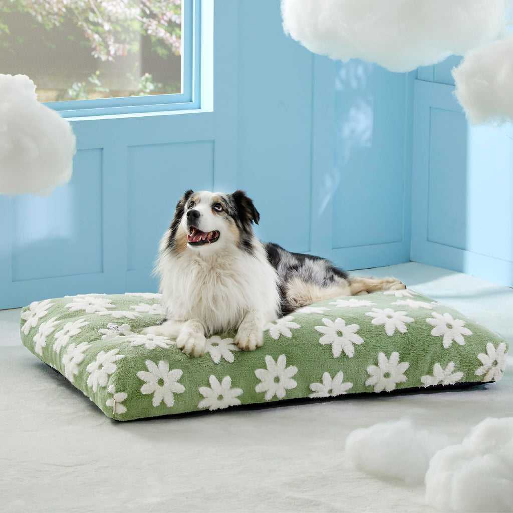 LE SURE XLarge Dog Bed - Thick Shredded Foam, Removable Cover, Green
