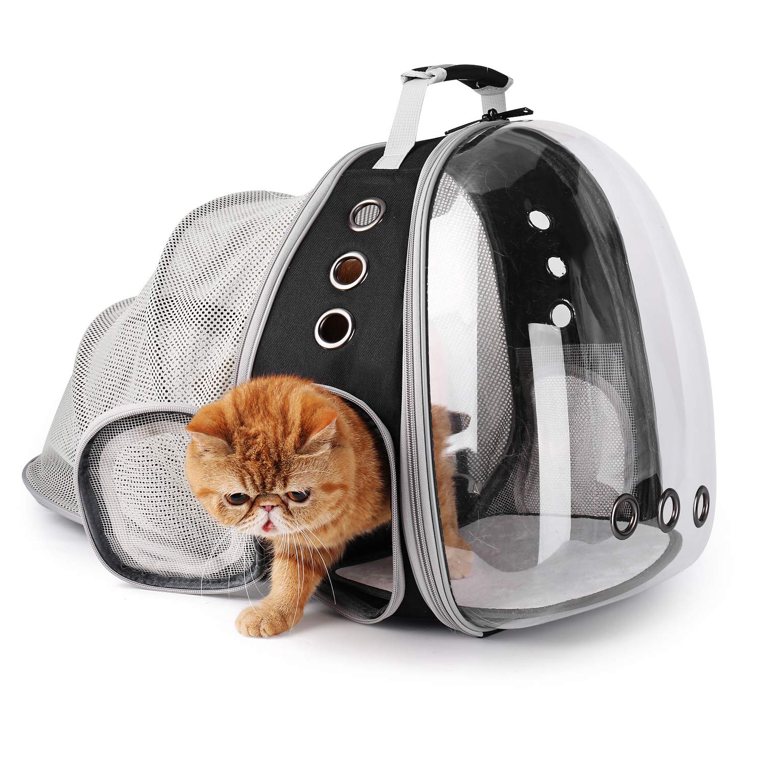 LOLLIMEOW Cat Carrier Backpack – Expandable Bubble Carrier for Cats & Small Dogs (Up to 14 lbs) – Airline Approved