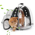 LOLLIMEOW Cat Carrier Backpack – Expandable Bubble Carrier for Cats & Small Dogs (Up to 14 lbs) – Airline Approved