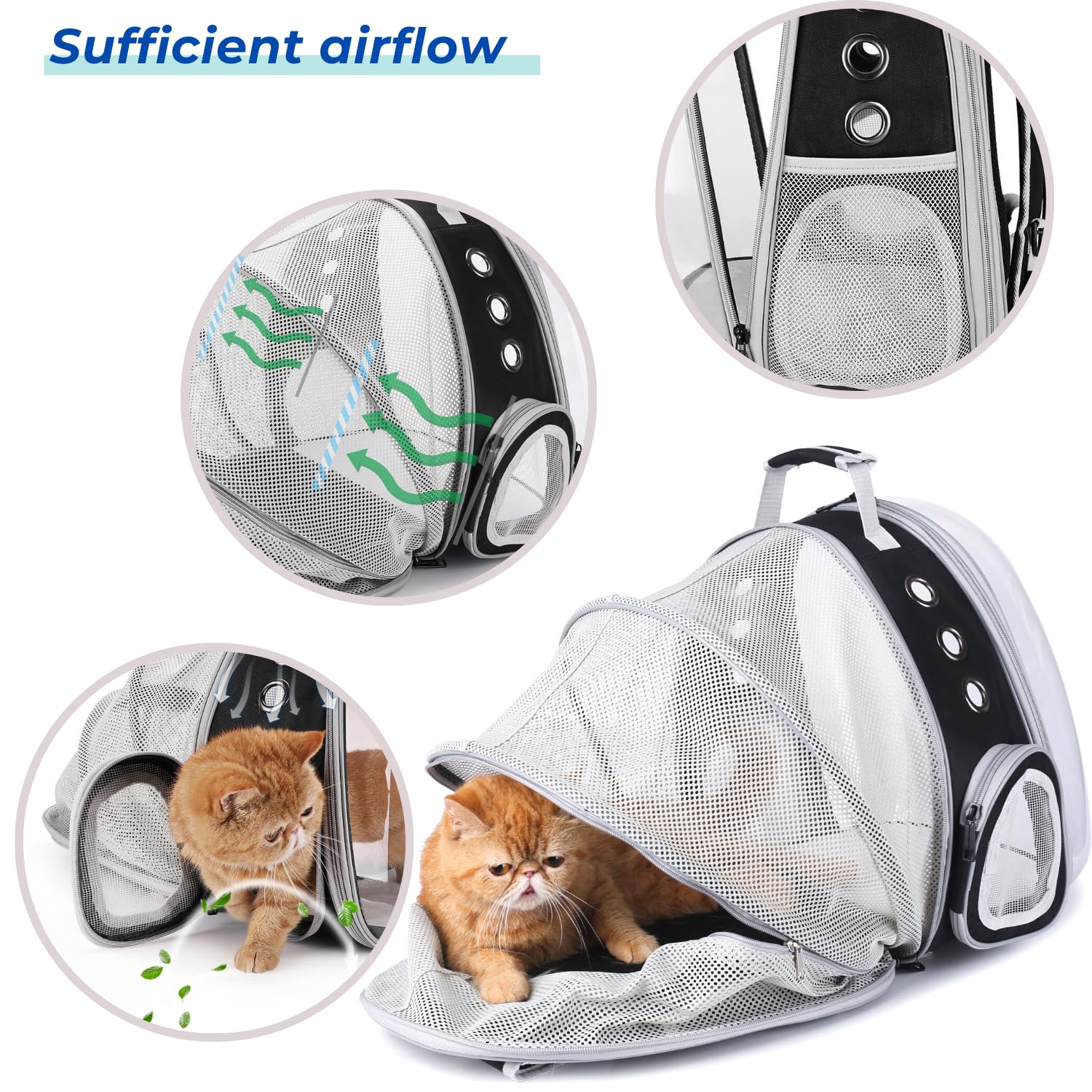LOLLIMEOW Cat Carrier Backpack – Expandable Bubble Carrier for Cats & Small Dogs (Up to 14 lbs) – Airline Approved