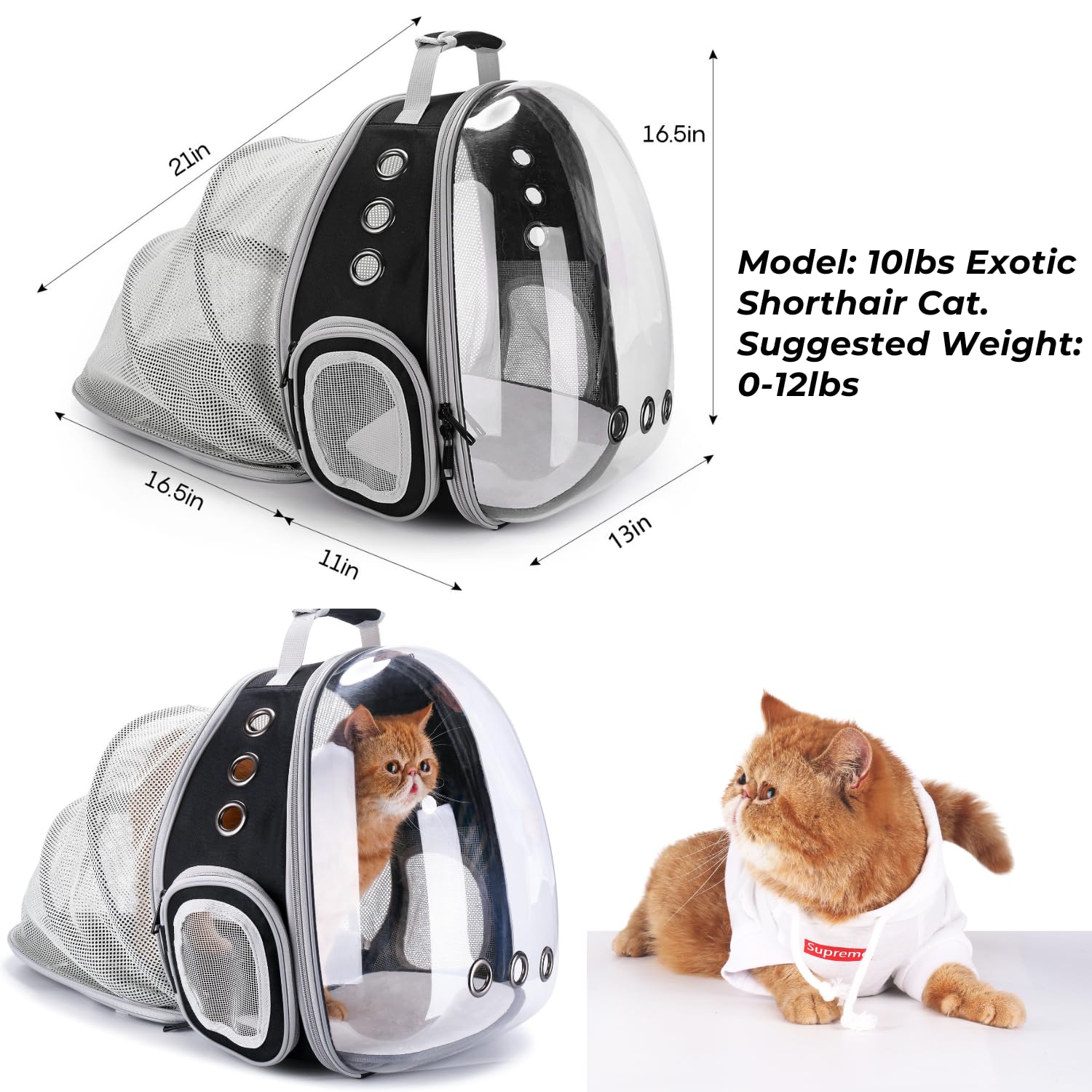 LOLLIMEOW Cat Carrier Backpack – Expandable Bubble Carrier for Cats & Small Dogs (Up to 14 lbs) – Airline Approved