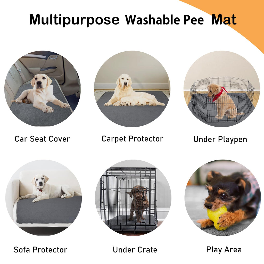 LOOBANI 2 Packs Extra Large Reusable Dog Mat — Non-Slip, Washable Pee Pad 65x48in (Gray)