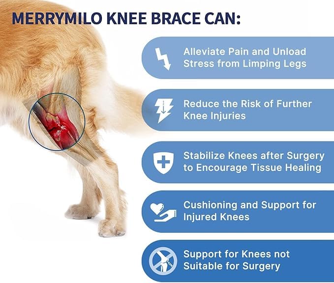 MerryMilo Dog Knee Brace – Rear Leg Support for ACL/CCL, Black, Large