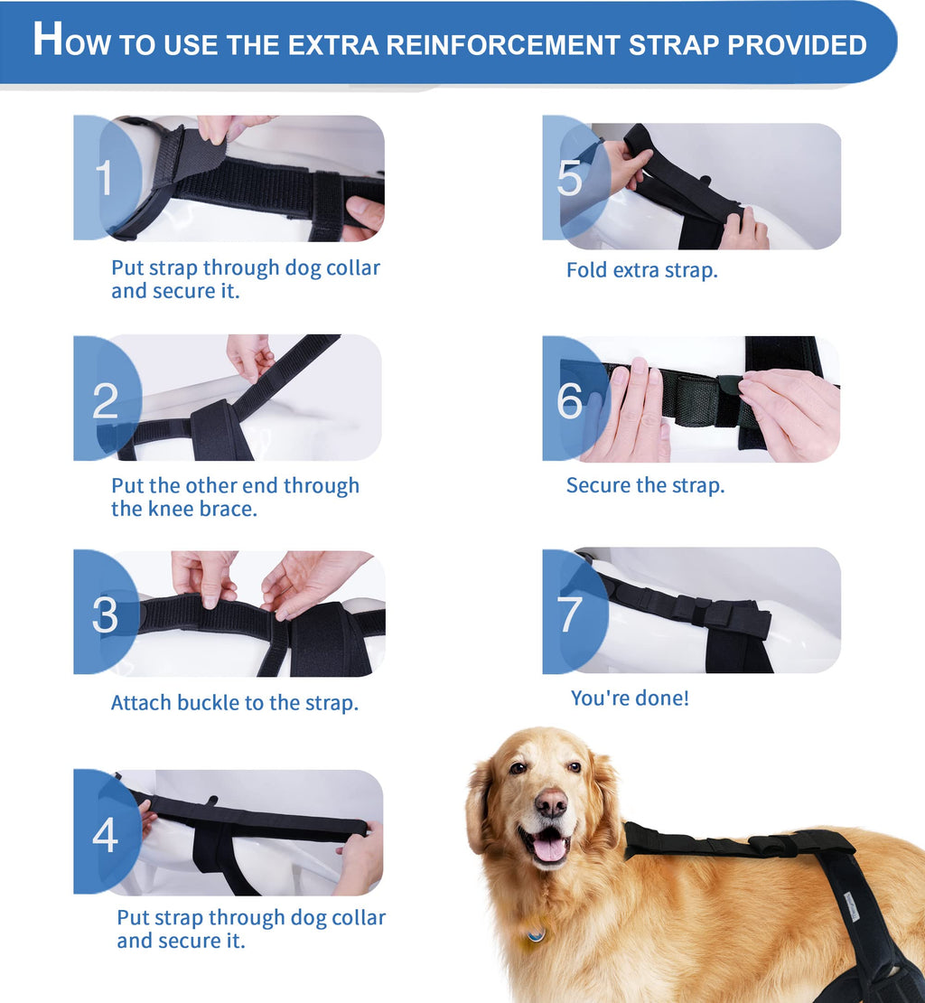 MerryMilo Dog Knee Brace – Adjustable ACL & Hind Leg Support (2X-Large, Black)