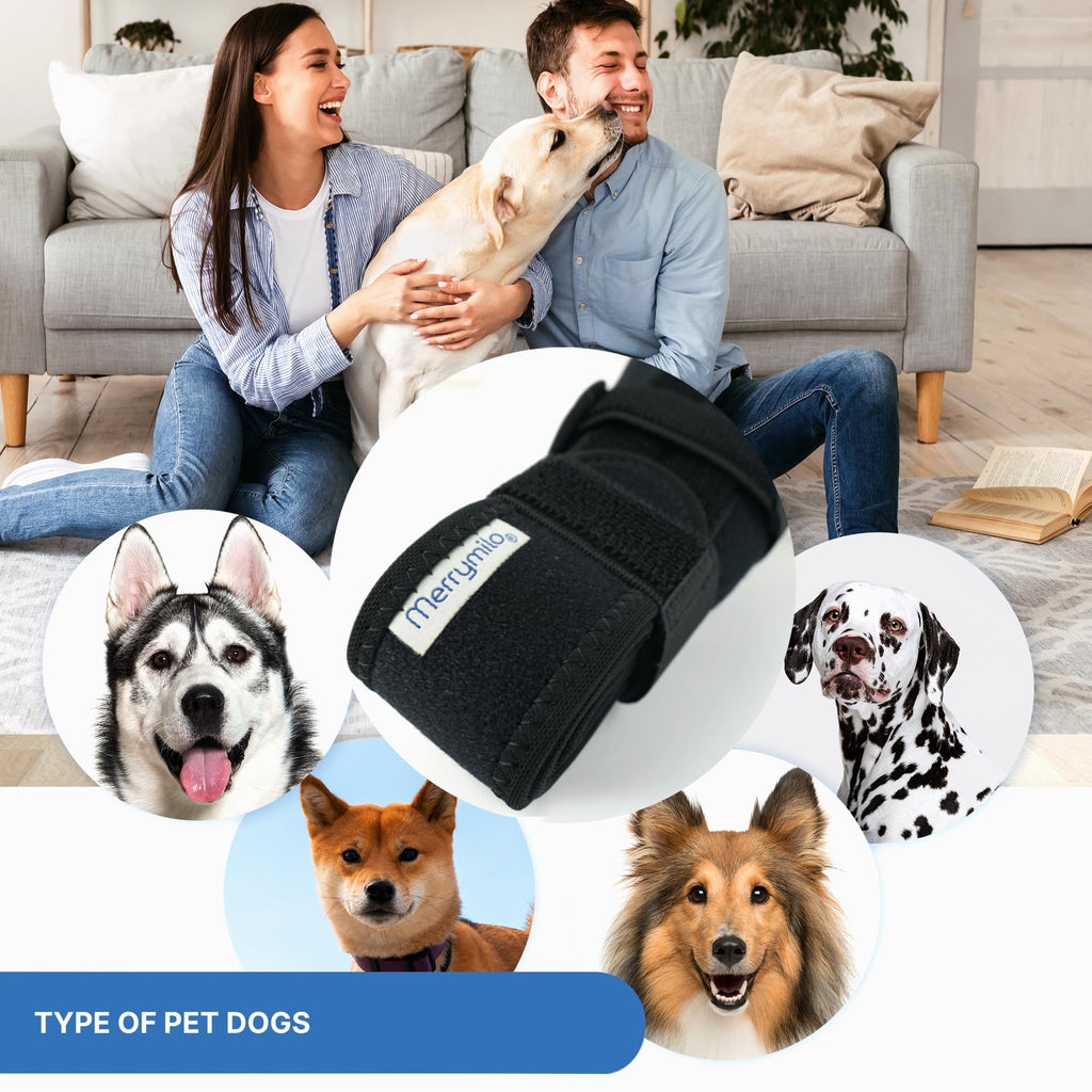 MerryMilo Dog Knee Brace – Adjustable ACL & Hind Leg Support (2X-Large, Black)