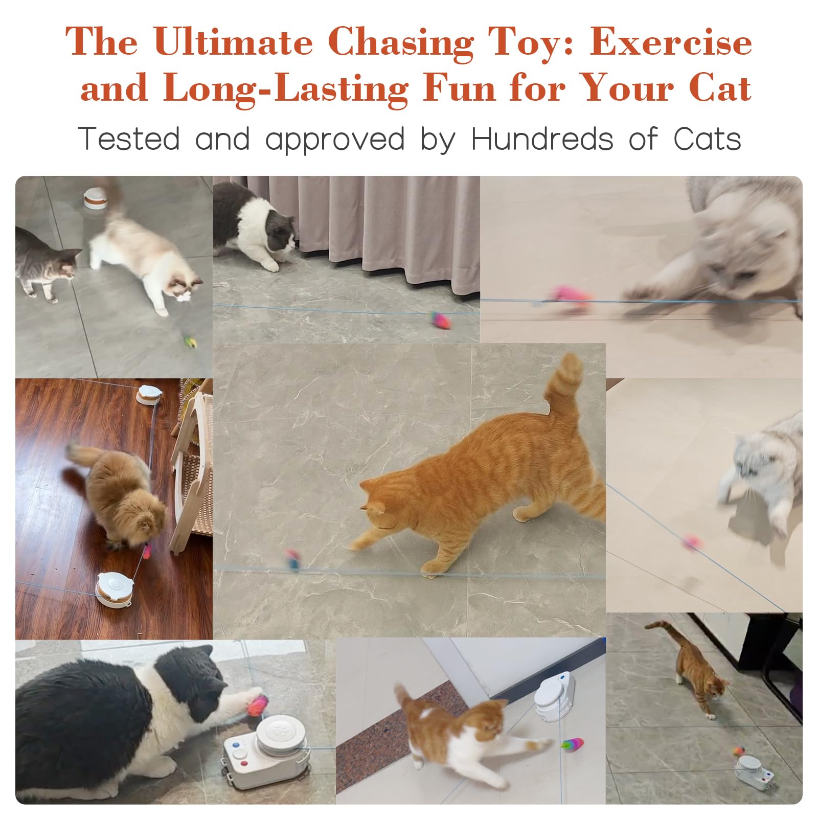 metiya Interactive Cat Toy for Indoor Cats – Auto/Manual Modes & Cat Treadmill