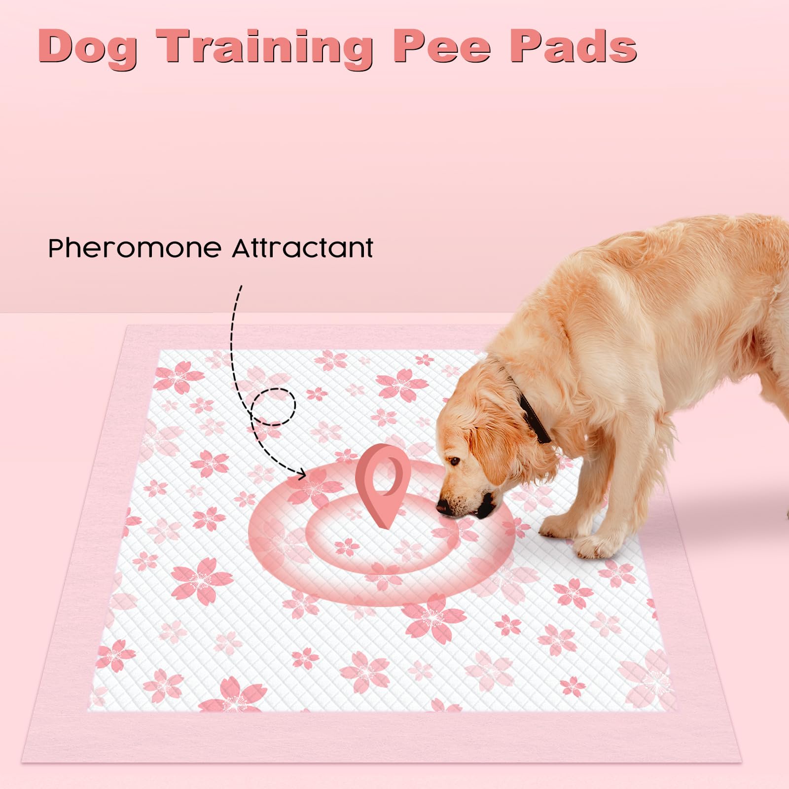 MIZOK 36x36 Pink Puppy Pads – 6-Layer Leak-Proof, Quick-Dry with Cherry Blossom Prints | 30 Count