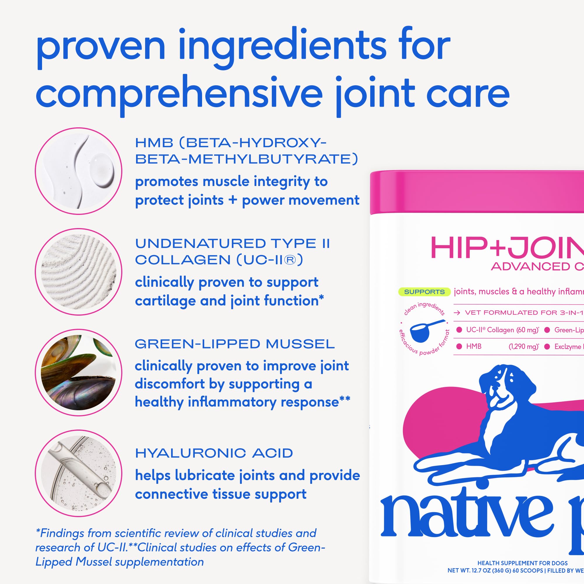 Native Pet Advanced Care Hip & Joint Supplement for Dogs — HMB, UC-II, Green Lipped Mussel, Hyaluronic Acid | 60 Scoops